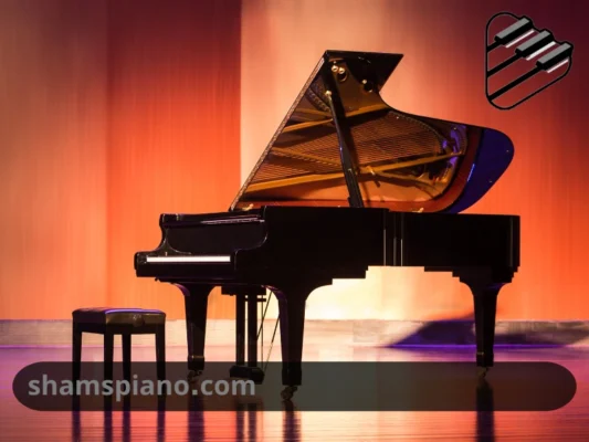 برای یادگیری پیانو چه پیانویی بخریم