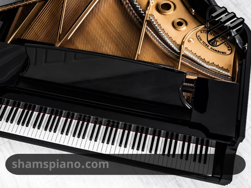 بهترین برند پیانو