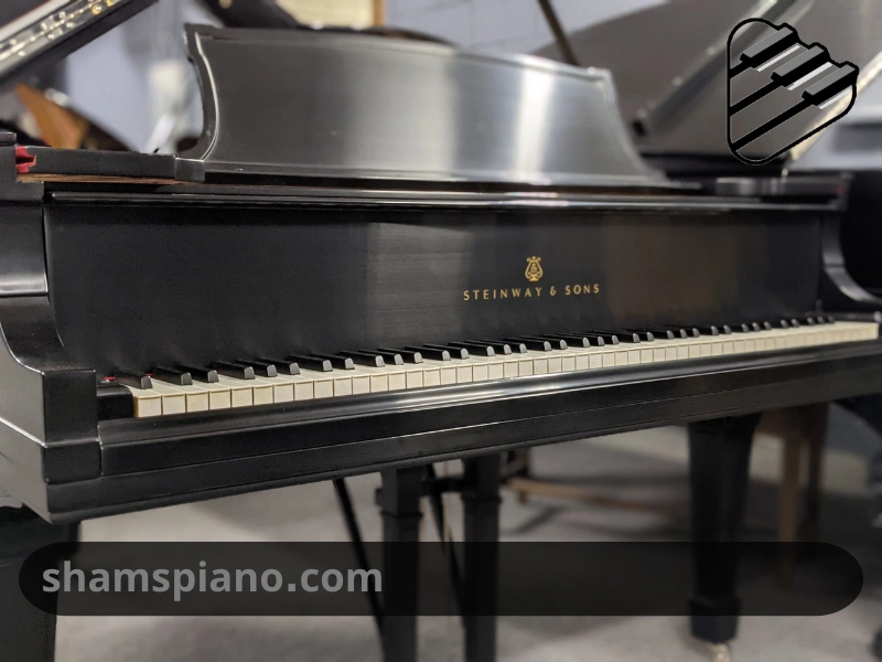 بهترین برند پیانو