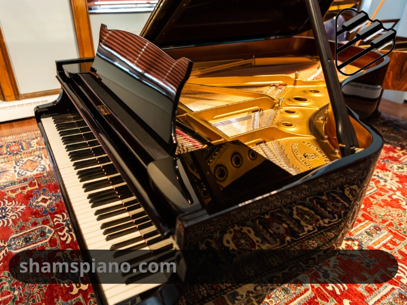 بهترین برند پیانو