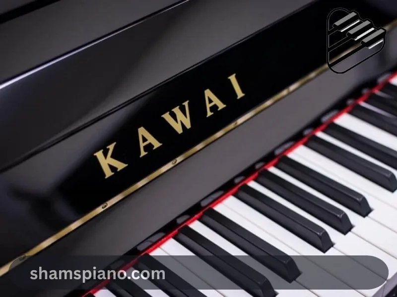 تفاوت ارگ و پیانو دیجیتال در آموزش و یادگیری پیانو