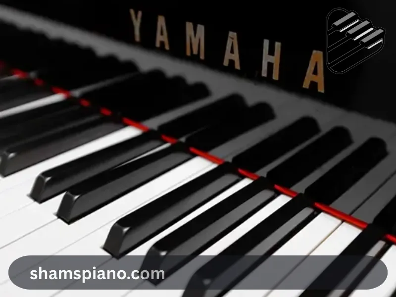 کدام برند پیانو آکوستیک برای هنرجویان مبتدی مناسب_تر است؟